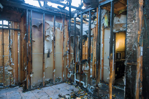 Professional Fire Damage Removal technician working in Millbourne, PA